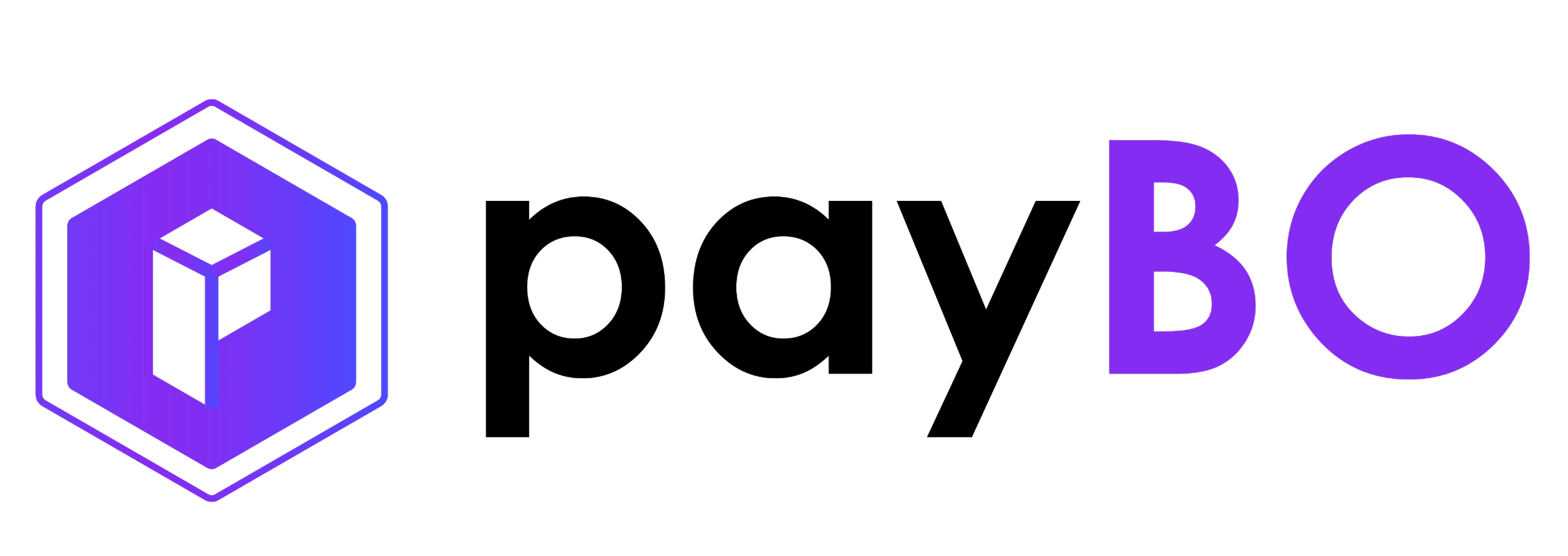 PayBo Logo